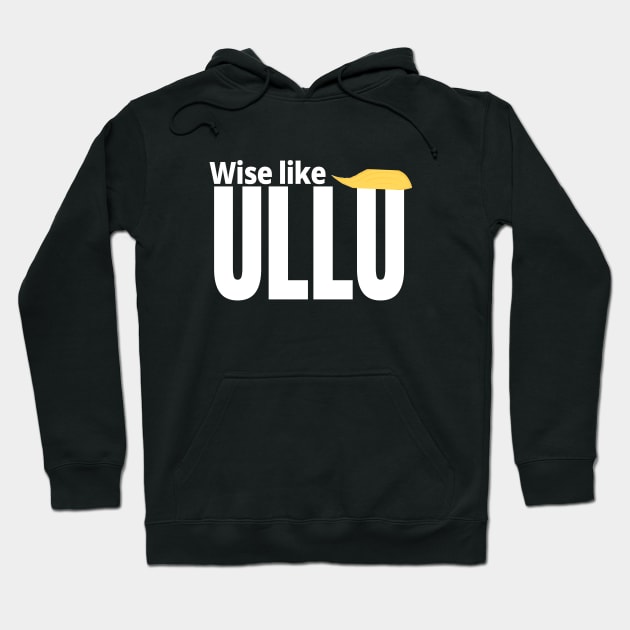 Wise like ullu stupid like owl funny trump quote Hoodie by kickstart